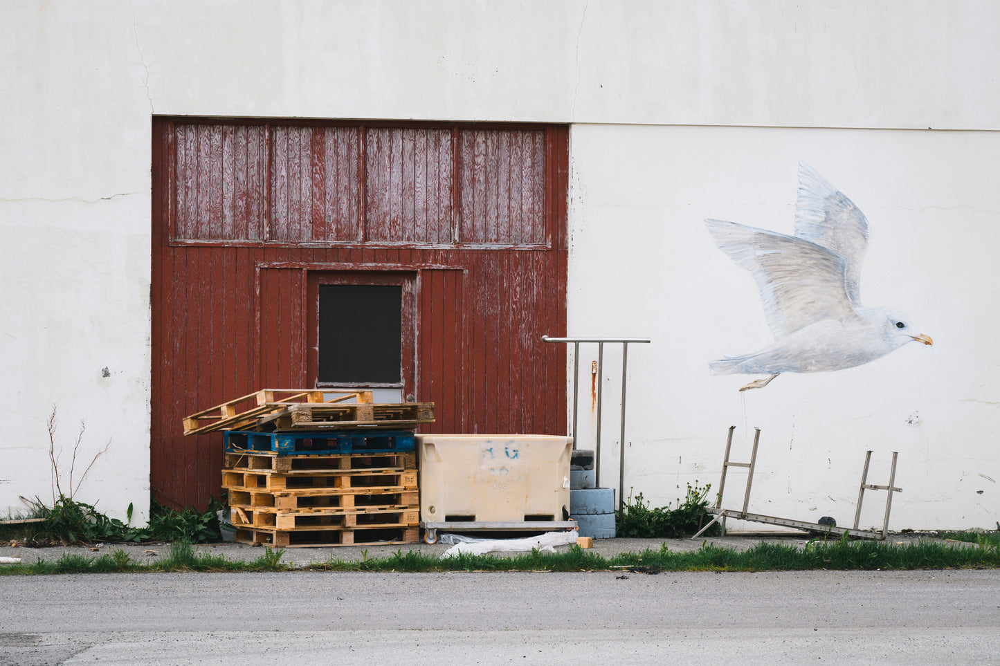 Flateyri, Iceland - Fly Away