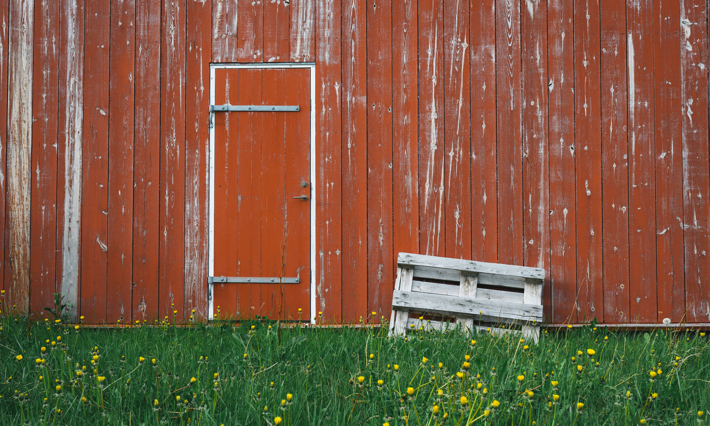 Ísafjörður, Iceland - Weathered Barn